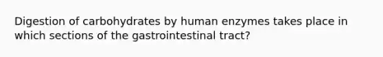 Digestion of carbohydrates by human enzymes takes place in which sections of the gastrointestinal tract?