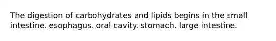 The digestion of carbohydrates and lipids begins in the small intestine. esophagus. oral cavity. stomach. large intestine.