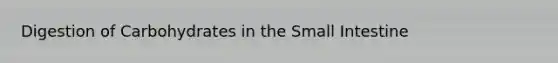 Digestion of Carbohydrates in the Small Intestine