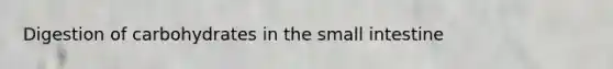 Digestion of carbohydrates in the small intestine
