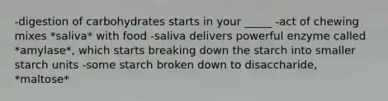 -digestion of carbohydrates starts in your _____ -act of chewing mixes *saliva* with food -saliva delivers powerful enzyme called *amylase*, which starts breaking down the starch into smaller starch units -some starch broken down to disaccharide, *maltose*