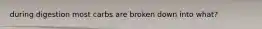 during digestion most carbs are broken down into what?