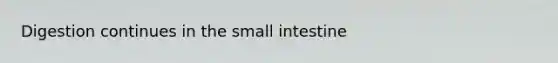 Digestion continues in the small intestine