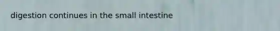 digestion continues in the small intestine