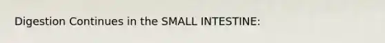 Digestion Continues in the SMALL INTESTINE: