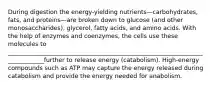 During digestion the energy-yielding nutrients—carbohydrates, fats, and proteins—are broken down to glucose (and other monosaccharides), glycerol, fatty acids, and amino acids. With the help of enzymes and coenzymes, the cells use these molecules to _____________________________________________________________________________further to release energy (catabolism). High-energy compounds such as ATP may capture the energy released during catabolism and provide the energy needed for anabolism.