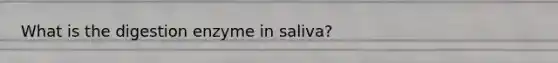 What is the digestion enzyme in saliva?