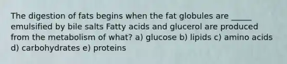 The digestion of fats begins when the fat globules are _____ emulsified by bile salts Fatty acids and glucerol are produced from the metabolism of what? a) glucose b) lipids c) amino acids d) carbohydrates e) proteins