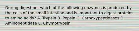 During digestion, which of the following enzymes is produced by the cells of the small intestine and is important to digest proteins to amino acids? A. Trypsin B. Pepsin C. Carboxypeptidases D. Aminopeptidase E. Chymotrypsin