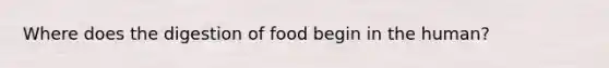 Where does the digestion of food begin in the human?