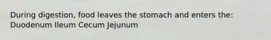 During digestion, food leaves the stomach and enters the: Duodenum Ileum Cecum Jejunum