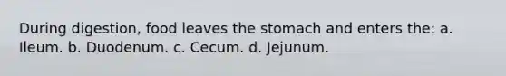 During digestion, food leaves the stomach and enters the: a. Ileum. b. Duodenum. c. Cecum. d. Jejunum.