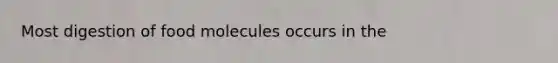 Most digestion of food molecules occurs in the