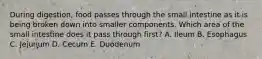 During digestion, food passes through the small intestine as it is being broken down into smaller components. Which area of the small intestine does it pass through first? A. Ileum B. Esophagus C. Jejunum D. Cecum E. Duodenum