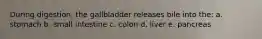 During digestion, the gallbladder releases bile into the: a. stomach b. small intestine c. colon d. liver e. pancreas