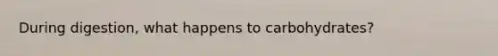 During digestion, what happens to carbohydrates?