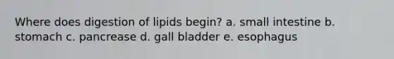 Where does digestion of lipids begin? a. small intestine b. stomach c. pancrease d. gall bladder e. esophagus
