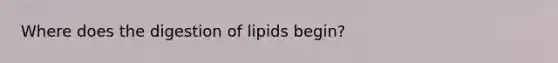 Where does the digestion of lipids begin?