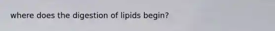 where does the digestion of lipids begin?