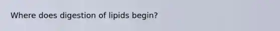 Where does digestion of lipids begin?