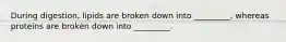 During digestion, lipids are broken down into _________, whereas proteins are broken down into _________.