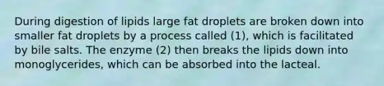 During digestion of lipids large fat droplets are broken down into smaller fat droplets by a process called (1), which is facilitated by bile salts. The enzyme (2) then breaks the lipids down into monoglycerides, which can be absorbed into the lacteal.