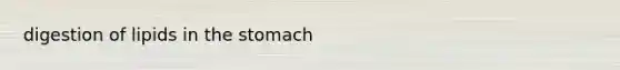 digestion of lipids in the stomach