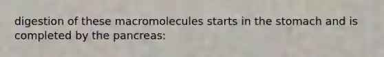 digestion of these macromolecules starts in the stomach and is completed by the pancreas: