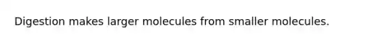 Digestion makes larger molecules from smaller molecules.