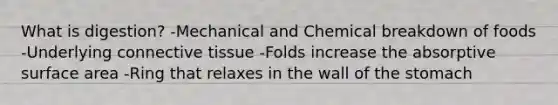 What is digestion? -Mechanical and Chemical breakdown of foods -Underlying <a href='https://www.questionai.com/knowledge/kYDr0DHyc8-connective-tissue' class='anchor-knowledge'>connective tissue</a> -Folds increase the absorptive surface area -Ring that relaxes in the wall of <a href='https://www.questionai.com/knowledge/kLccSGjkt8-the-stomach' class='anchor-knowledge'>the stomach</a>