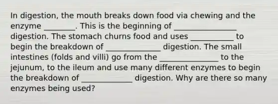 In digestion, the mouth breaks down food via chewing and the enzyme ________. This is the beginning of ________________ digestion. The stomach churns food and uses ___________ to begin the breakdown of ______________ digestion. The small intestines (folds and villi) go from the _______________ to the jejunum, to the ileum and use many different enzymes to begin the breakdown of _____________ digestion. Why are there so many enzymes being used?