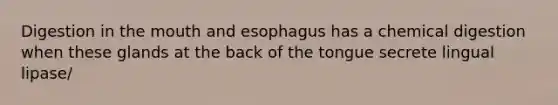 Digestion in the mouth and esophagus has a chemical digestion when these glands at the back of the tongue secrete lingual lipase/