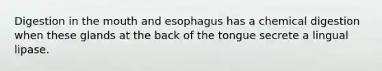 Digestion in the mouth and esophagus has a chemical digestion when these glands at the back of the tongue secrete a lingual lipase.