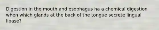 Digestion in the mouth and esophagus ha a chemical digestion when which glands at the back of the tongue secrete lingual lipase?