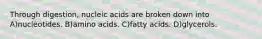 Through digestion, nucleic acids are broken down into A)nucleotides. B)amino acids. C)fatty acids. D)glycerols.