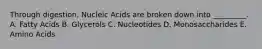 Through digestion, Nucleic Acids are broken down into _________. A. Fatty Acids B. Glycerols C. Nucleotides D. Monosaccharides E. Amino Acids