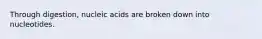 Through digestion, nucleic acids are broken down into nucleotides.