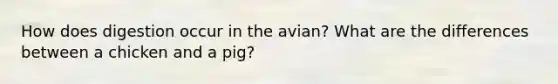 How does digestion occur in the avian? What are the differences between a chicken and a pig?