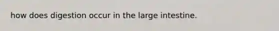 how does digestion occur in the large intestine.