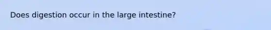 Does digestion occur in the large intestine?