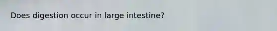 Does digestion occur in large intestine?