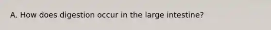 A. How does digestion occur in the <a href='https://www.questionai.com/knowledge/kGQjby07OK-large-intestine' class='anchor-knowledge'>large intestine</a>?