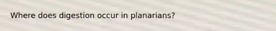 Where does digestion occur in planarians?