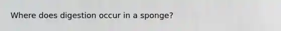 Where does digestion occur in a sponge?