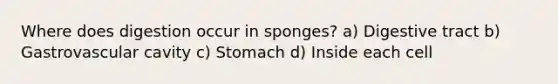 Where does digestion occur in sponges? a) Digestive tract b) Gastrovascular cavity c) Stomach d) Inside each cell