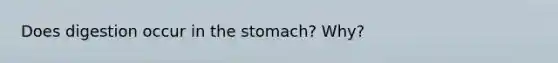 Does digestion occur in the stomach? Why?