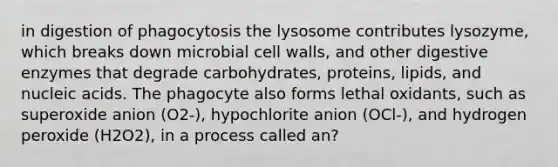 in digestion of phagocytosis the lysosome contributes lysozyme, which breaks down microbial cell walls, and other digestive enzymes that degrade carbohydrates, proteins, lipids, and nucleic acids. The phagocyte also forms lethal oxidants, such as superoxide anion (O2-), hypochlorite anion (OCl-), and hydrogen peroxide (H2O2), in a process called an?