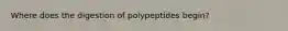 Where does the digestion of polypeptides begin?