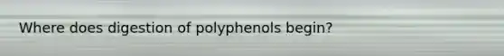 Where does digestion of polyphenols begin?