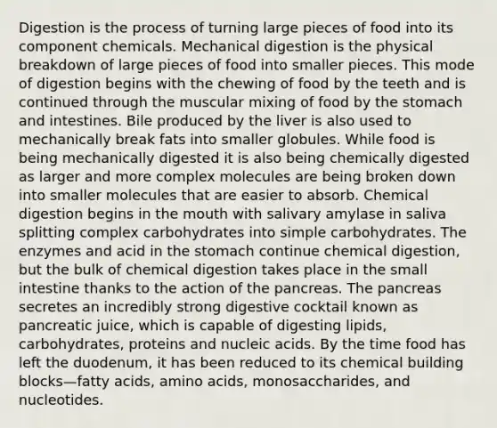 Digestion is the process of turning large pieces of food into its component chemicals. Mechanical digestion is the physical breakdown of large pieces of food into smaller pieces. This mode of digestion begins with the chewing of food by the teeth and is continued through the muscular mixing of food by <a href='https://www.questionai.com/knowledge/kLccSGjkt8-the-stomach' class='anchor-knowledge'>the stomach</a> and intestines. Bile produced by the liver is also used to mechanically break fats into smaller globules. While food is being mechanically digested it is also being chemically digested as larger and more complex molecules are being broken down into smaller molecules that are easier to absorb. Chemical digestion begins in <a href='https://www.questionai.com/knowledge/krBoWYDU6j-the-mouth' class='anchor-knowledge'>the mouth</a> with salivary amylase in saliva splitting complex carbohydrates into simple carbohydrates. The enzymes and acid in the stomach continue chemical digestion, but the bulk of chemical digestion takes place in <a href='https://www.questionai.com/knowledge/kt623fh5xn-the-small-intestine' class='anchor-knowledge'>the small intestine</a> thanks to the action of the pancreas. The pancreas secretes an incredibly strong digestive cocktail known as pancreatic juice, which is capable of digesting lipids, carbohydrates, proteins and nucleic acids. By the time food has left the duodenum, it has been reduced to its chemical building blocks—fatty acids, amino acids, monosaccharides, and nucleotides.